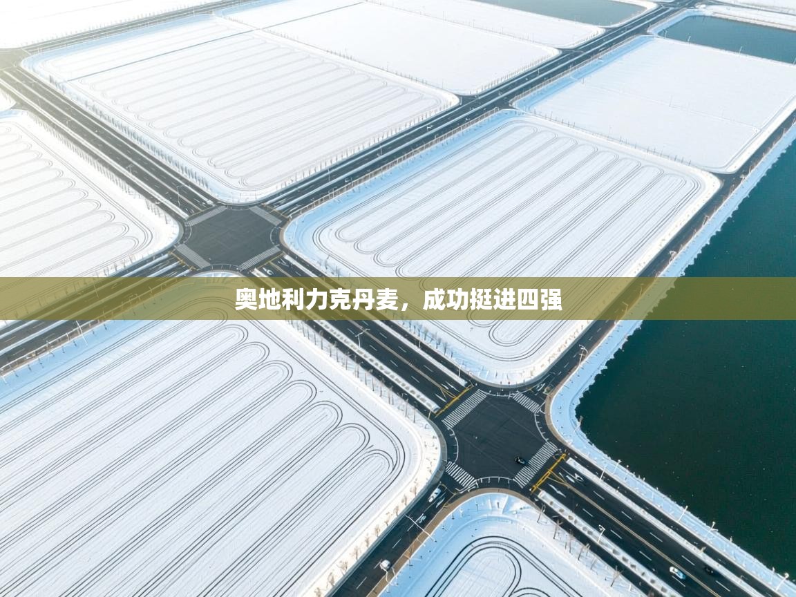 奥地利力克丹麦,成功挺进四强 第1张