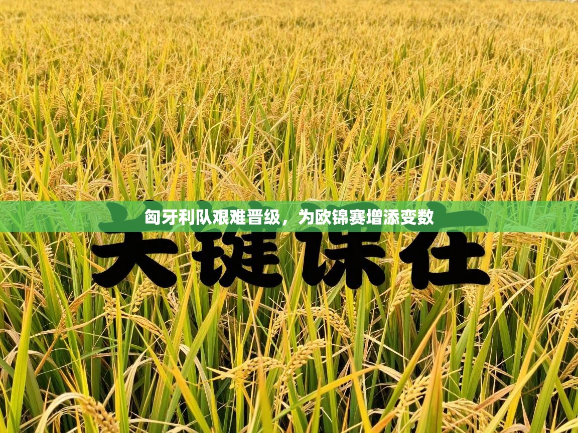 匈牙利队艰难晋级,为欧锦赛增添变数 第2张