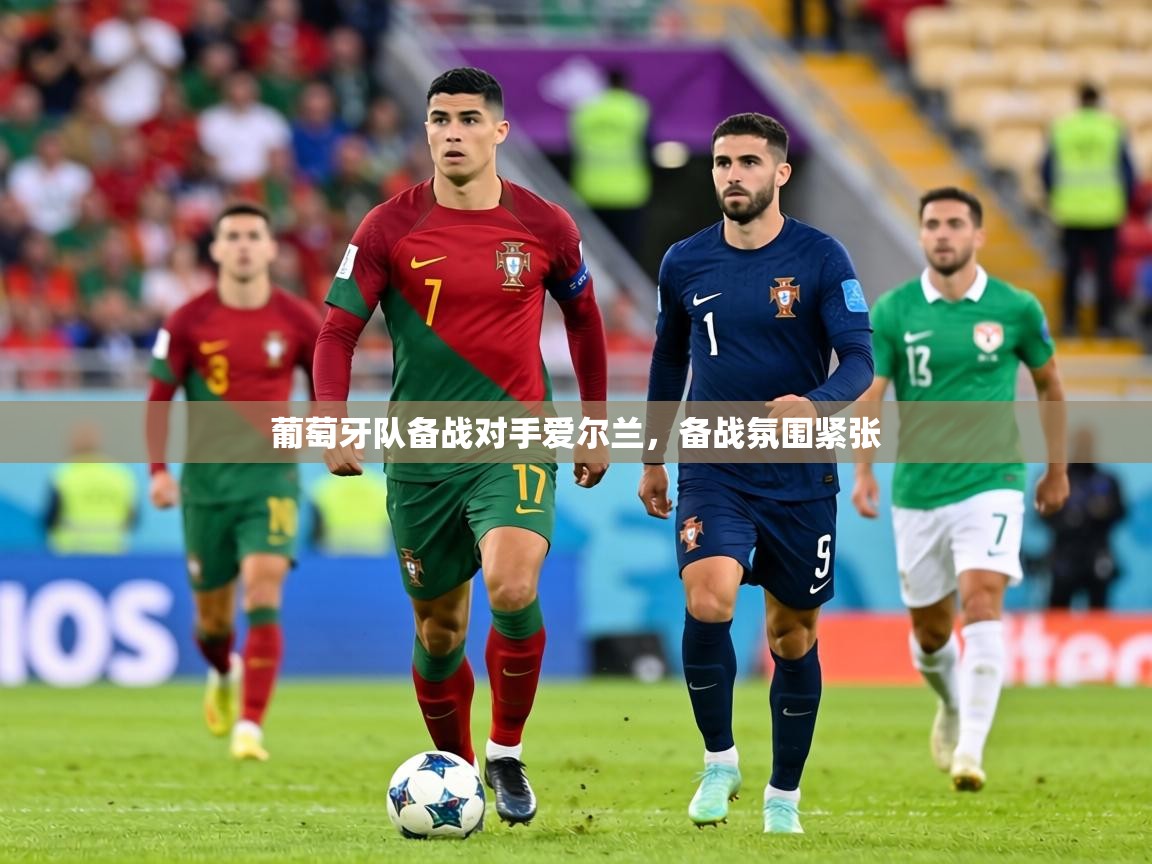 葡萄牙队备战对手爱尔兰，备战氛围紧张  第2张