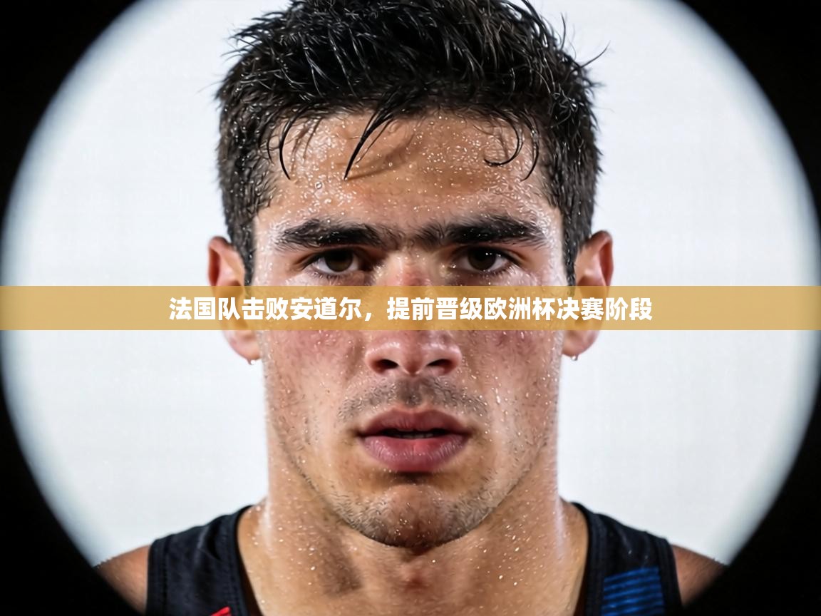 法国队击败安道尔，提前晋级欧洲杯决赛阶段  第2张